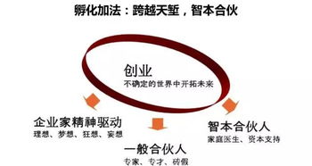 金華科技園創業服務中心 研發與技術咨詢的雙引擎驅動